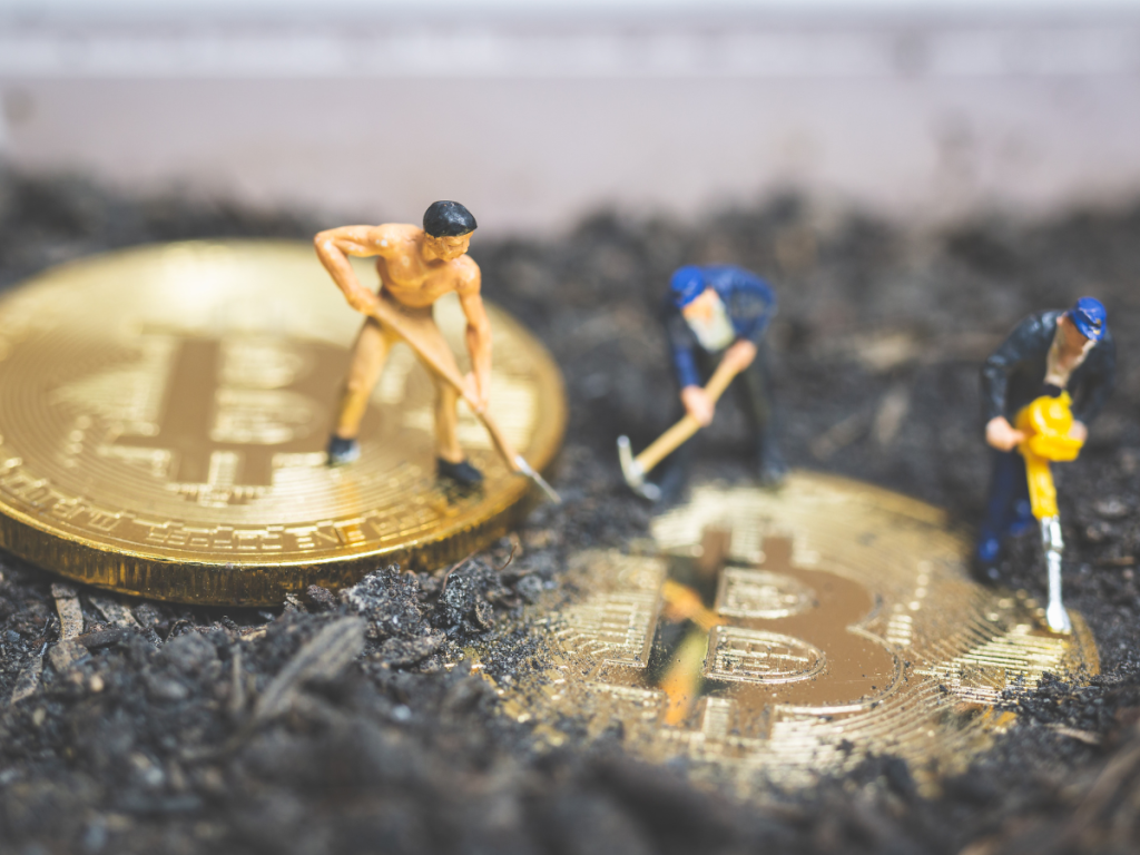 thetradehub - traning program